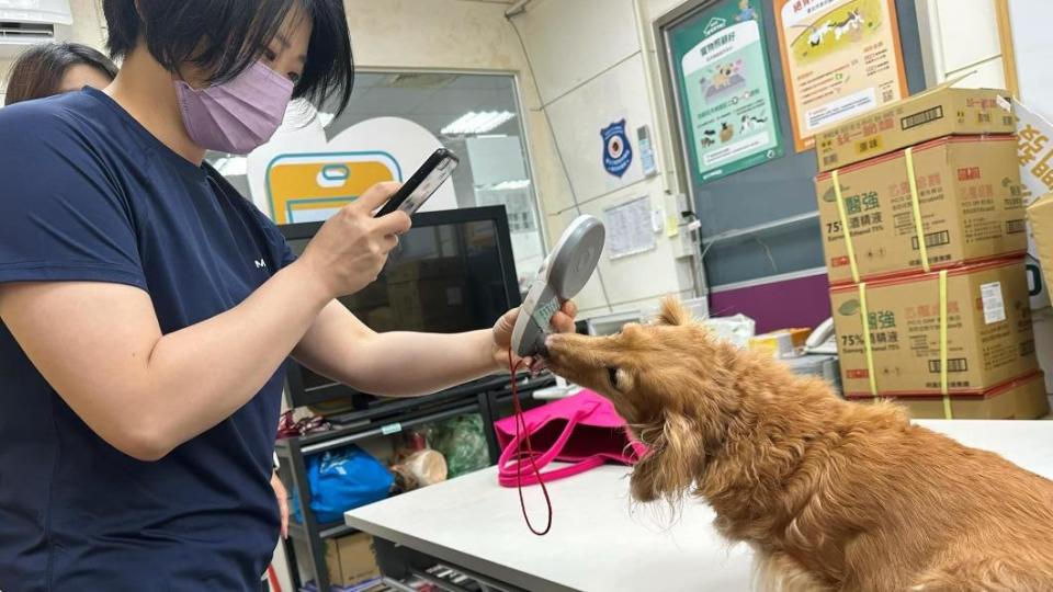 小甜甜公開帶愛犬茼蒿到動保處檢查的過程。（圖／翻攝自小甜甜臉書）