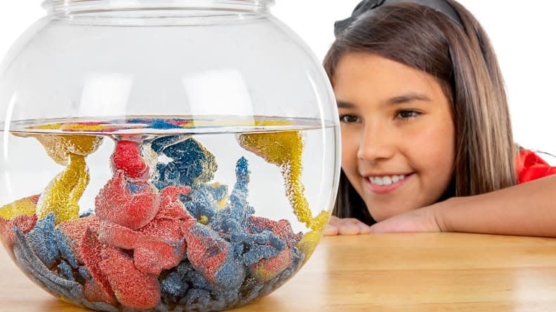 These at-home science experiments are fun and educational.