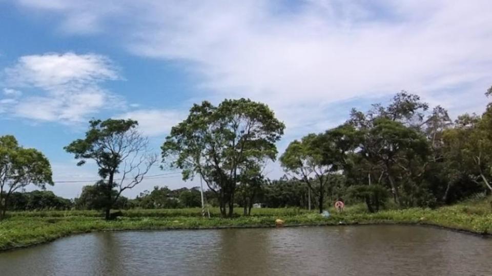 苗栗聯合大學八甲校區附近池塘。（示意圖／翻攝自Google Map）