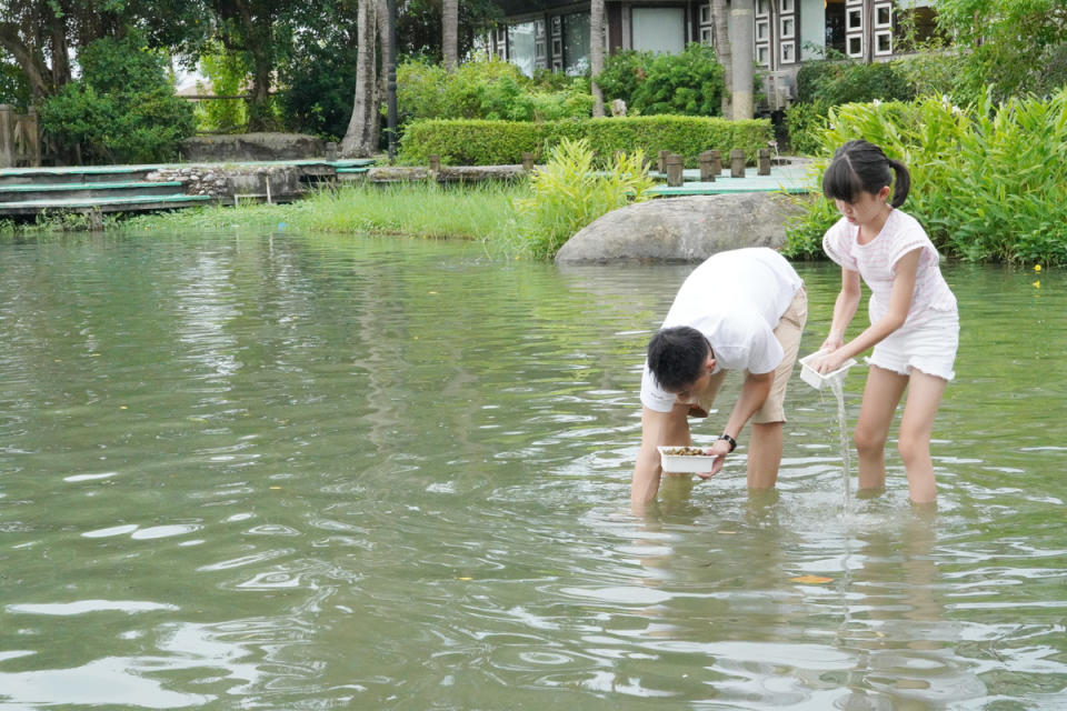 摸蛤仔、踩野溪、划海上獨木舟！花蓮最熱門6大夏日戲水勝地等你來