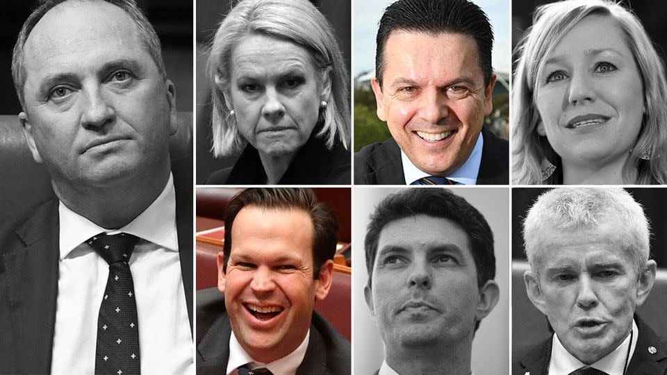 Barnaby Joyce, Fiona Nash, Malcolm Roberts, Larissa Waters and Scott Ludlam were all disqualified.