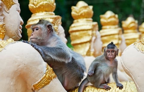 Phnom Pros Srey Temple Temple - Credit: Getty