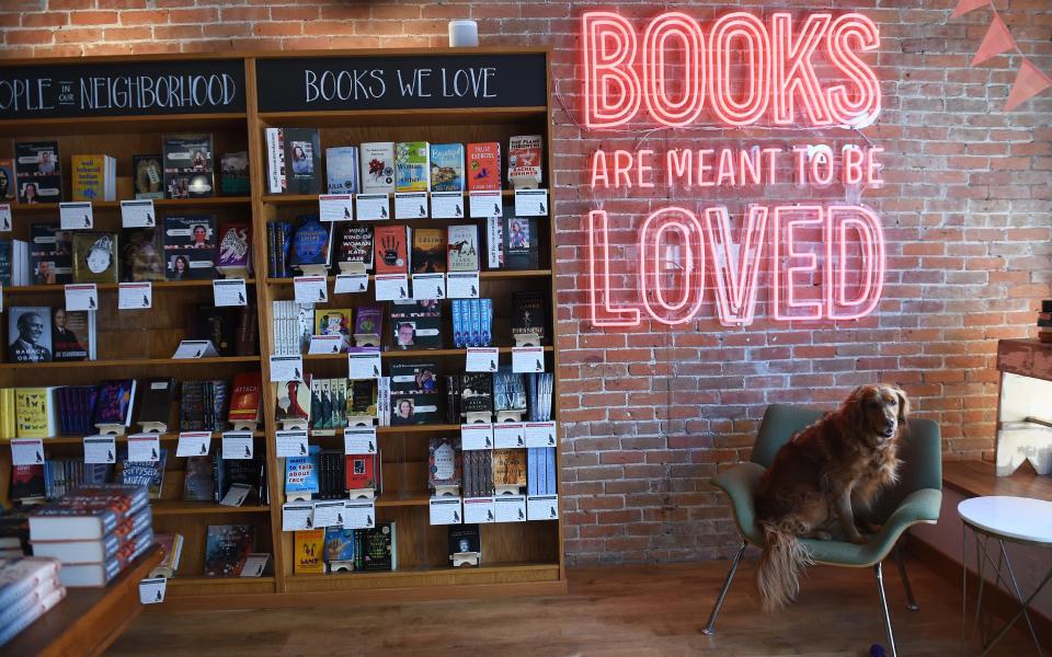 Shop dog Lovie sits near the entrance of Dog-Eared Books on Main Street in Ames, Iowa. The independent bookstore is preparing for its grand opening on March 8, 2021.