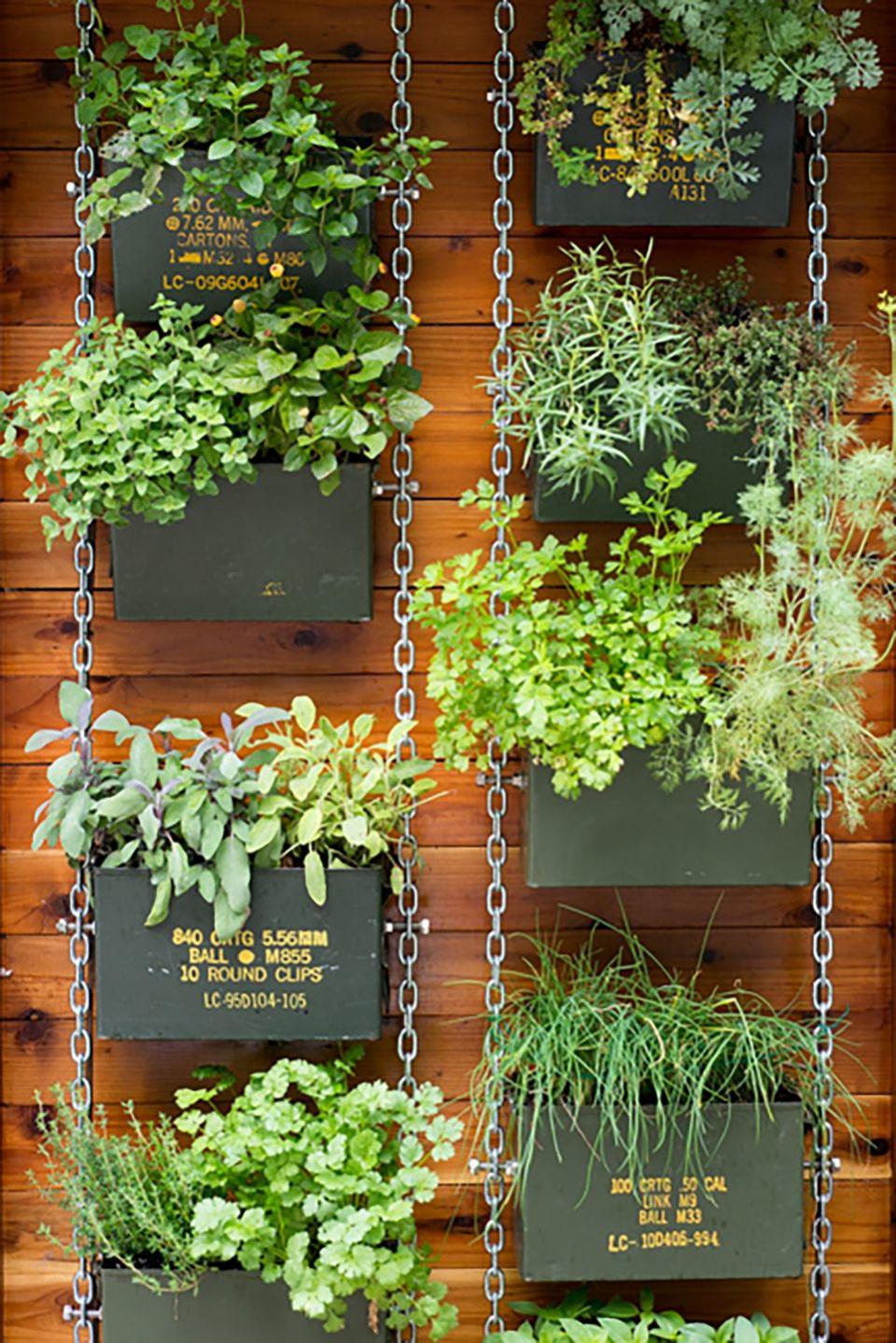 Ammunition Can Vertical Garden