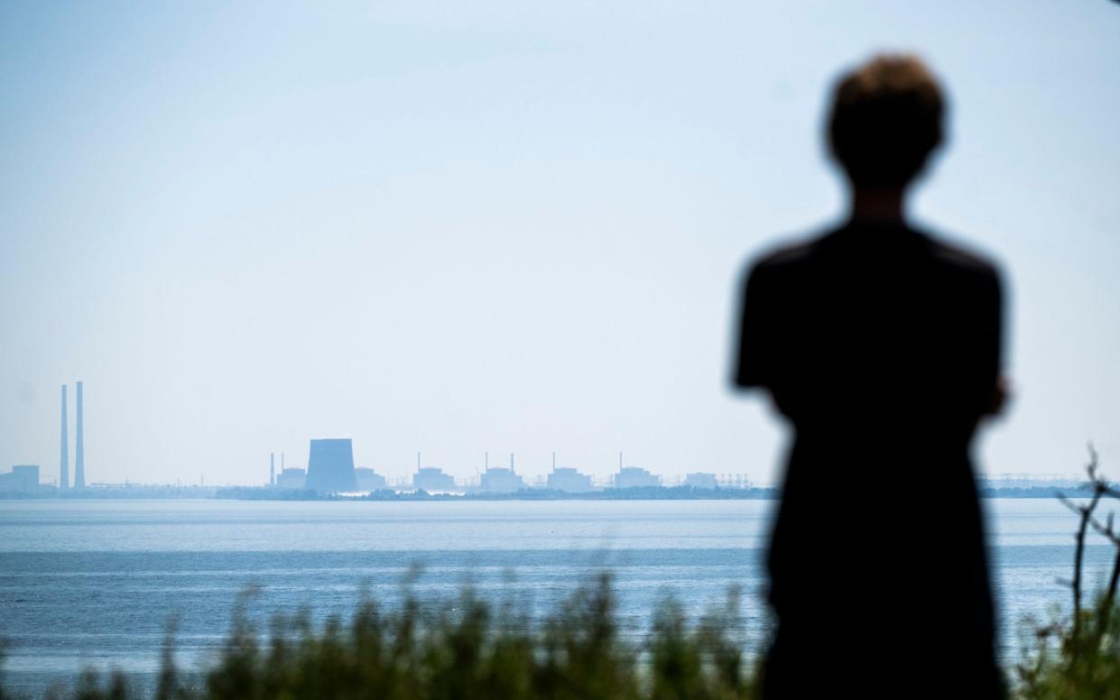 A view of Zaporizhzhia nuclear plant across the river from the city of Nikopol - Paul Grover for The Telegraph