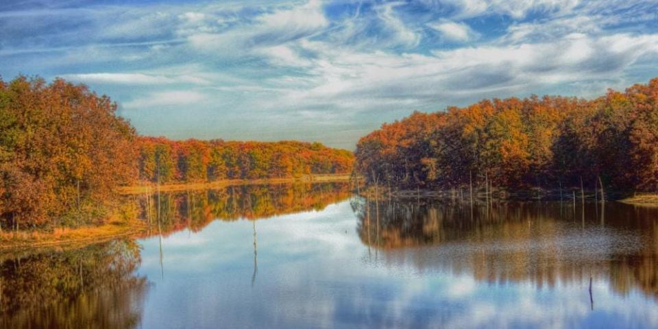 A view of whetstone creek conservation park during the day. Its clear waters reflect the bright blue sky and puffy white clouds.