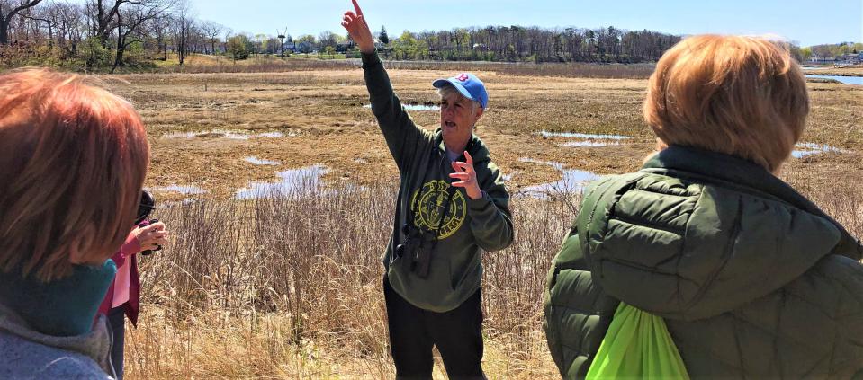 Jean Mackey points out a passing bird to a group of walkers along a salt marsh trail in Quincy. In the back, just to the left of her right arm, is a tall pole with an osprey nest on top, and two ospreys were in the nest.