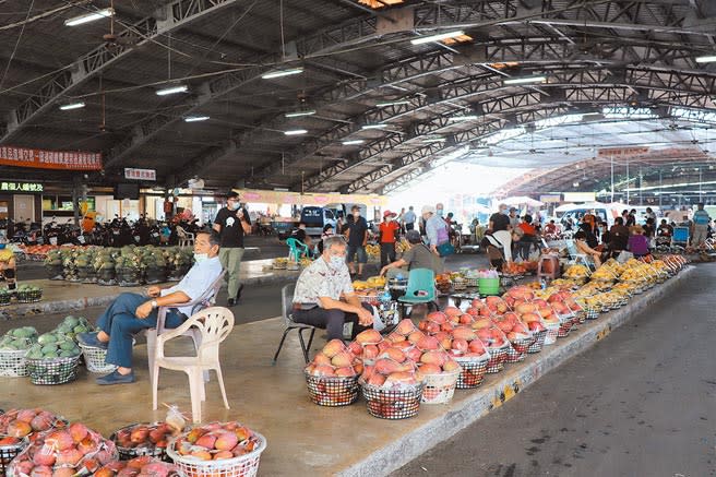 受疫情影響，台南玉井青果市場交易量大減，近兩周來愛文芒果均價每台斤只有11.2元。（劉秀芬攝）