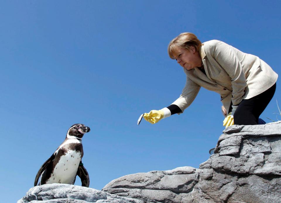 Das sind die witzigsten Bilder von Angela Merkel