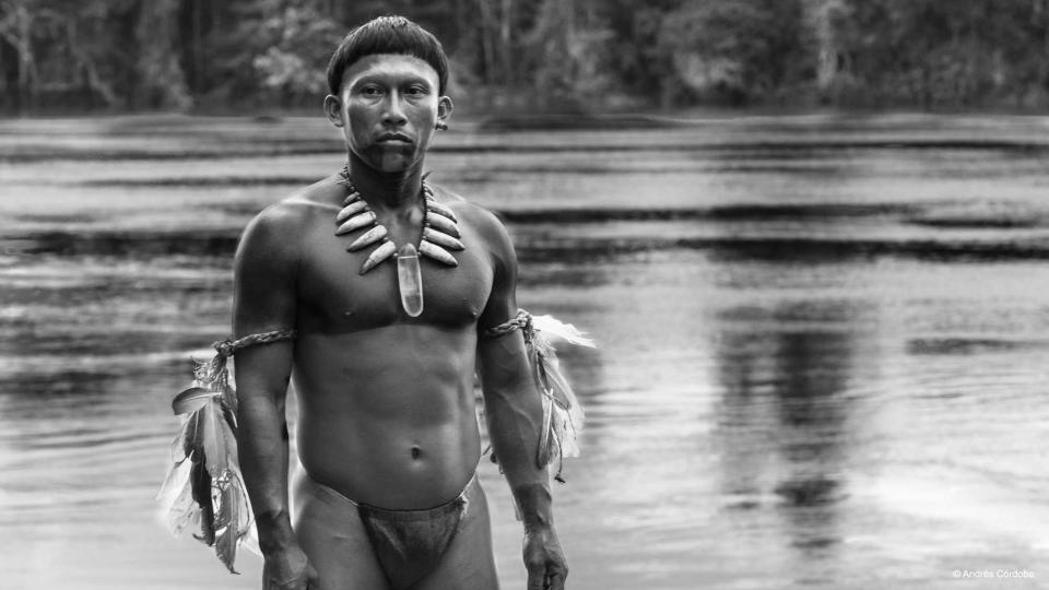 Embrace of the Serpent