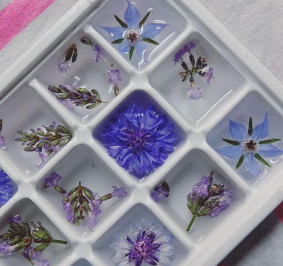 Frieren Sie essbare Blüten ein, um wunderschöne Eiswürfel für Ihre Getränke zu zaubern.