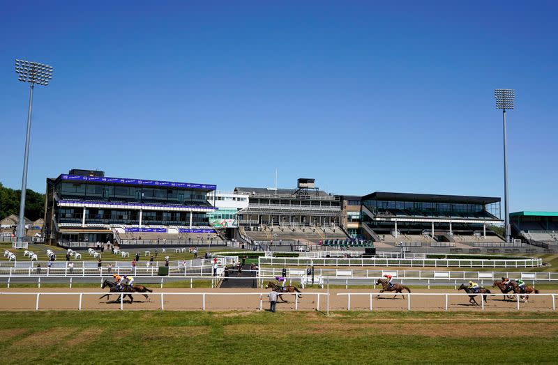 Horse Racing at Newcastle Racecourse