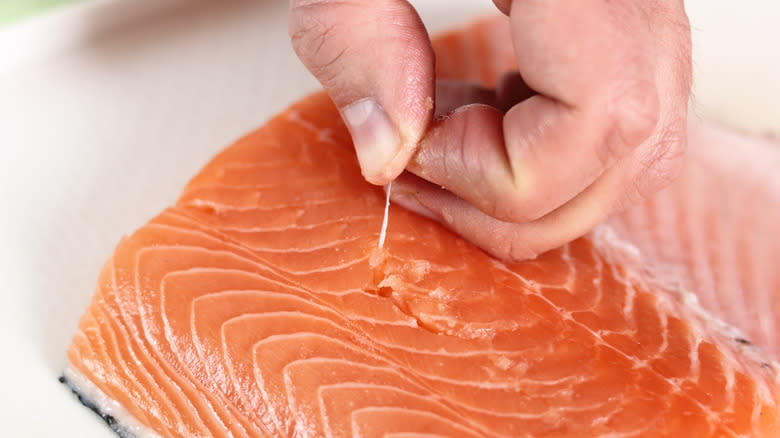 Person removing pin bones from salmon
