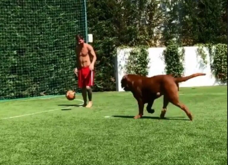 Leo tiene un jardín con una canchita de fútbol