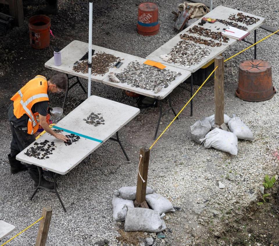 Archaeological team members painstakingly sort and catalog every bit of prehistoric material recovered from the excavation on tables set up at the site.