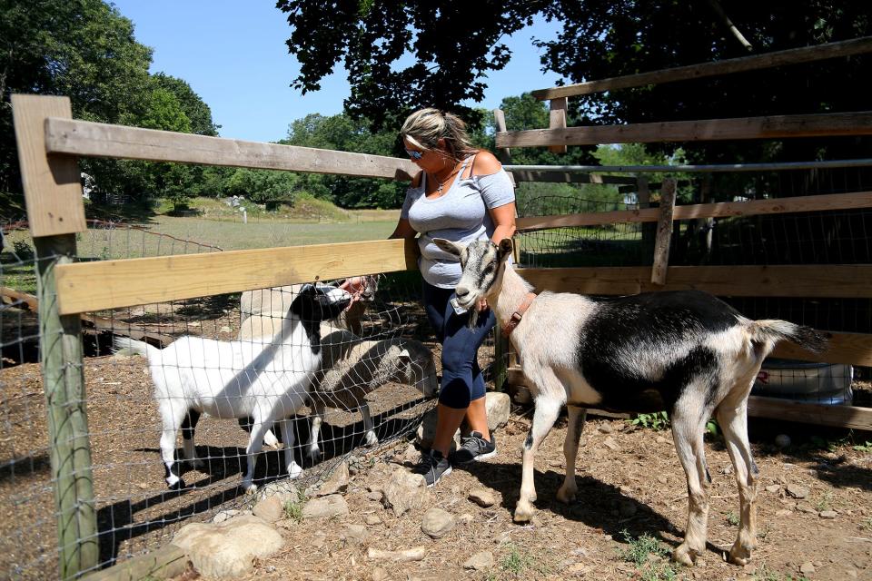 Jessica Lapa-Beals pets her goats and sheep before surrendering them to the New Hampshire SPCA on Tuesday, July 12, 2022 in Hampton.