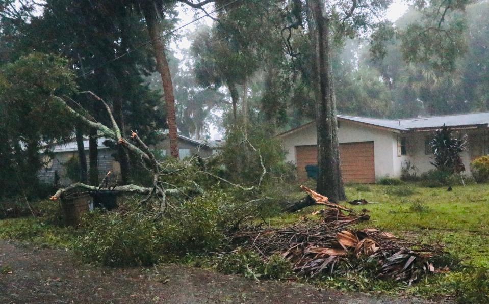 Downed tree limbs in Tomoka Estates in Ormond Beach on Thursday, Sept. 29, 2022.