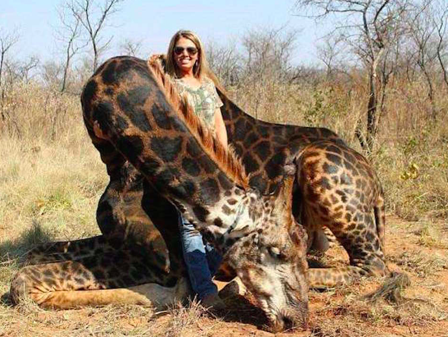Ms Talley poses with the dead giraffe (Picture: Tess Thompson Talley/Facebook)
