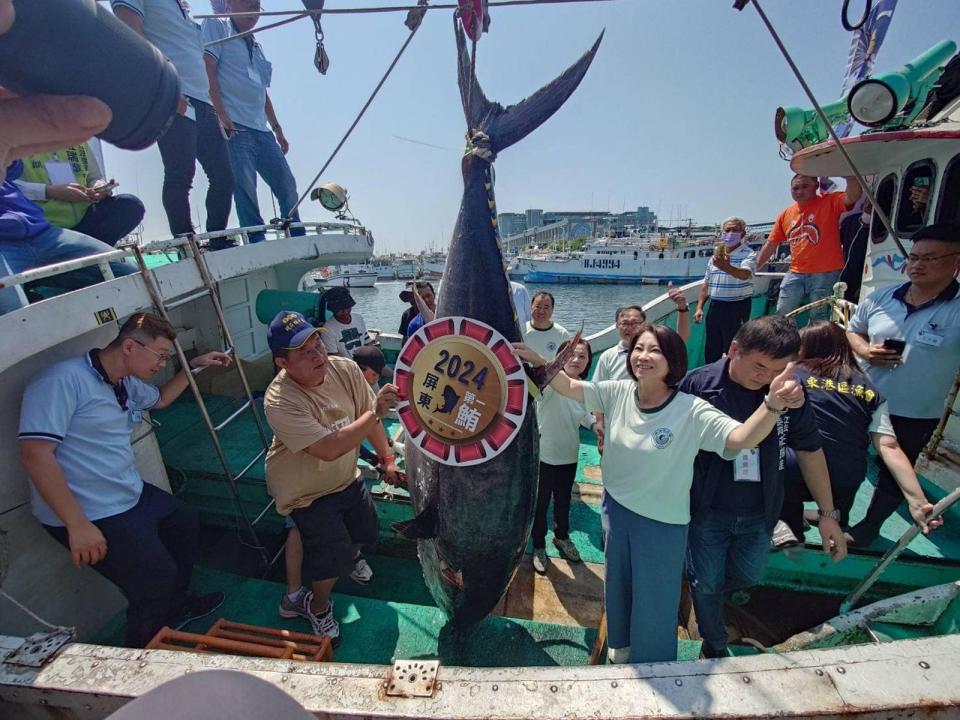 每年4到7月是黑鮪魚產季，然而今年漁獲大豐收，漁業署宣布將自6/12起停止捕撈。（翻攝自屏東第一鮪拍賣會臉書）