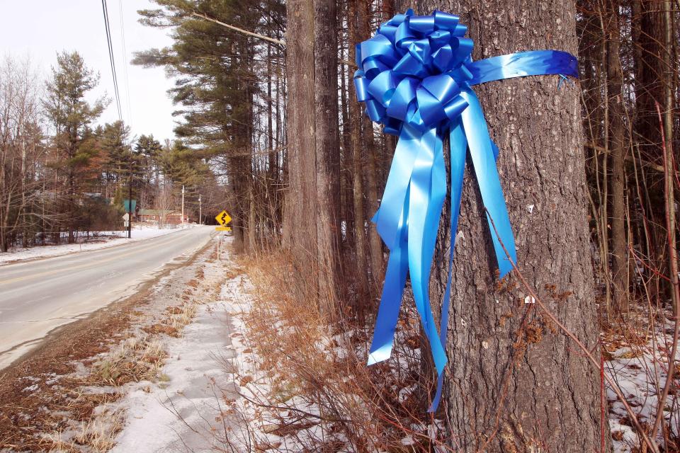 <p>A ribbon hangs at the site where Murray was last seen after a car crash in rural New Hampshire</p>AP
