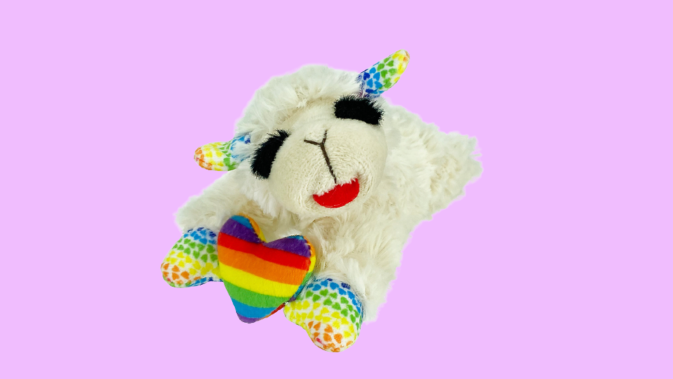 Pride-themed pet products for the proud pet parent