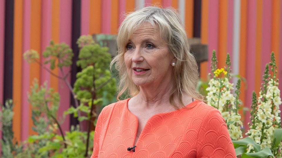 Carol Kirkwood in an orange dress