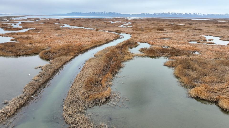 The Willard Spur Waterfowl Management Area near the Great Sale Lake is pictured in Box Elder County on Tuesday, Feb. 6, 2024. | Kristin Murphy, Deseret News