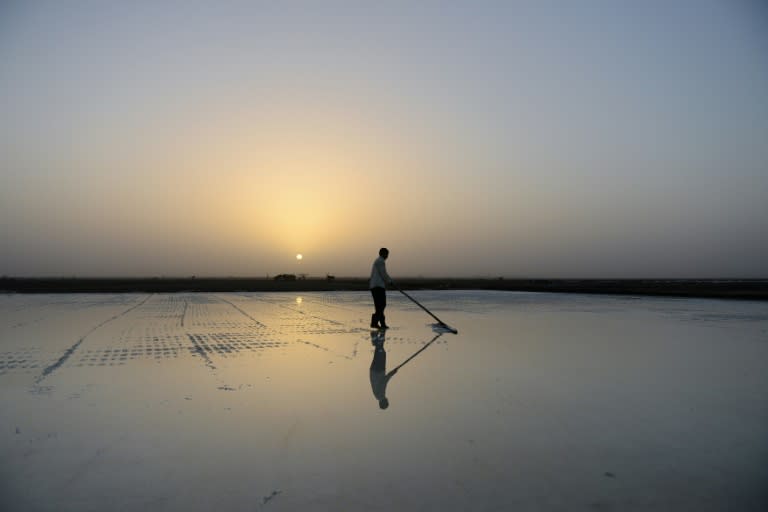 Indian salt pan workers toil in the remote and arid Little Rann of Kutch region for nearly eight months of the year in extreme conditions