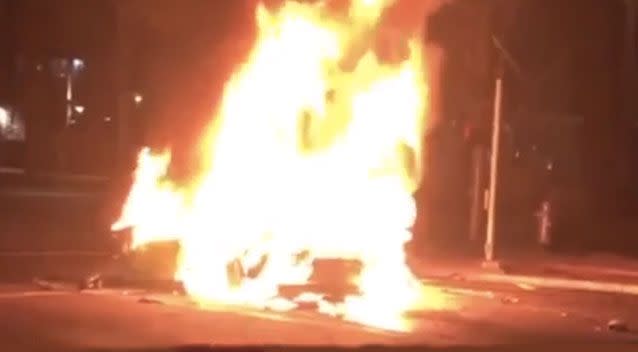 The Lamborghini burst into flames after crashing into a palm tree. Source: Fox 5