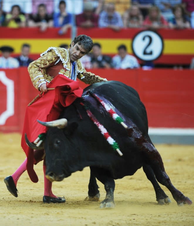 Jose Tomas, one of Spain's top matadors, now 40, is famous for his daring style particularly close to the bull