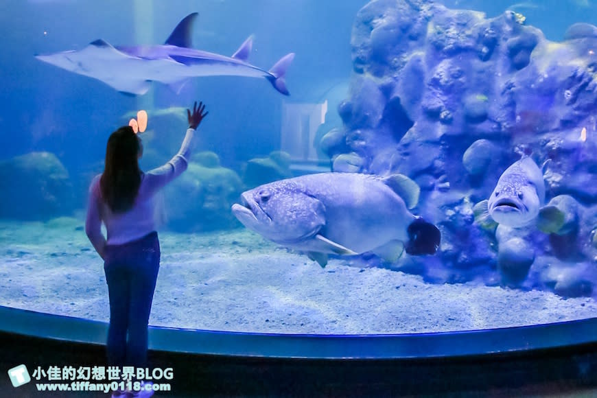 澎湖水族館