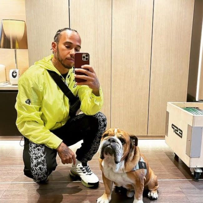 Lewis Hamilton con su adorado perro Roscoe credit:Bang Showbiz