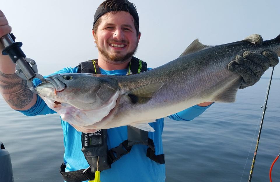 AJ Lombardo and his grandfather, Tony Lombardo, boated four large bluefish Saturday at the shipping channel off Poppasquash Point in  Bristol.