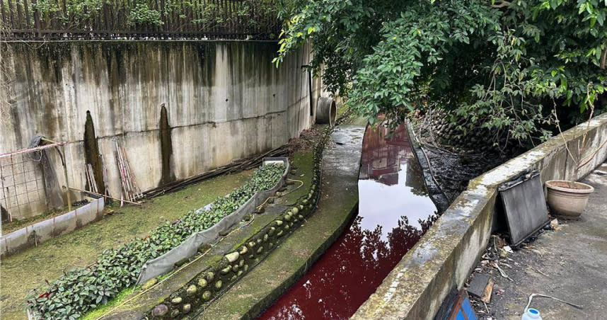 水溝被染紅。（圖／新北市環保局提供）