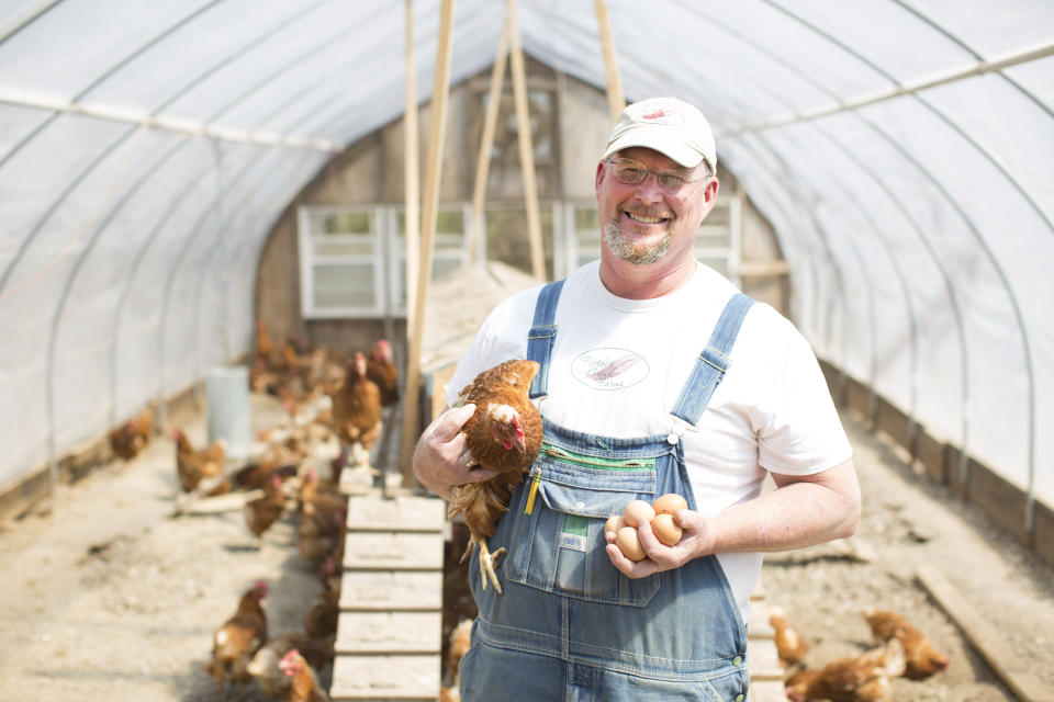 The hens at Feather Brook Farm in&nbsp;Massachusetts have continuous access to the outdoors during their laying cycle. (Photo: Boston Globe via Getty Images)