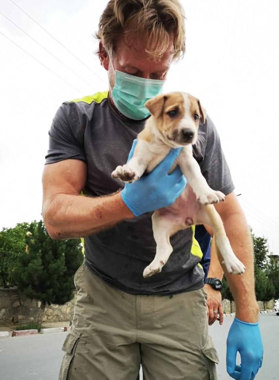 Pen Farthing founded animal rescue charity Nowzad after serving in Helmand province (PA Media) (PA Media)