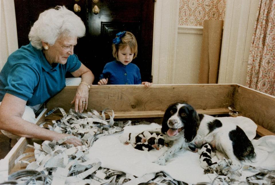 First lady Barbara Bush and her granddaughter, Marshall Lloyd Bush, visit with first dog Millie and her six puppies on March 18, 1989. Bush published a book about her springer spaniel's dog's-eye view of life in the White House.