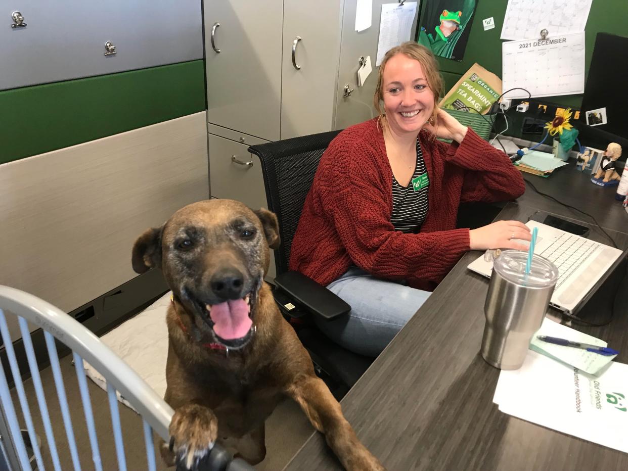 Hette with Old Friends Senior Dog Sanctuary staff member Sierra Leach on Nov. 23, 2021.