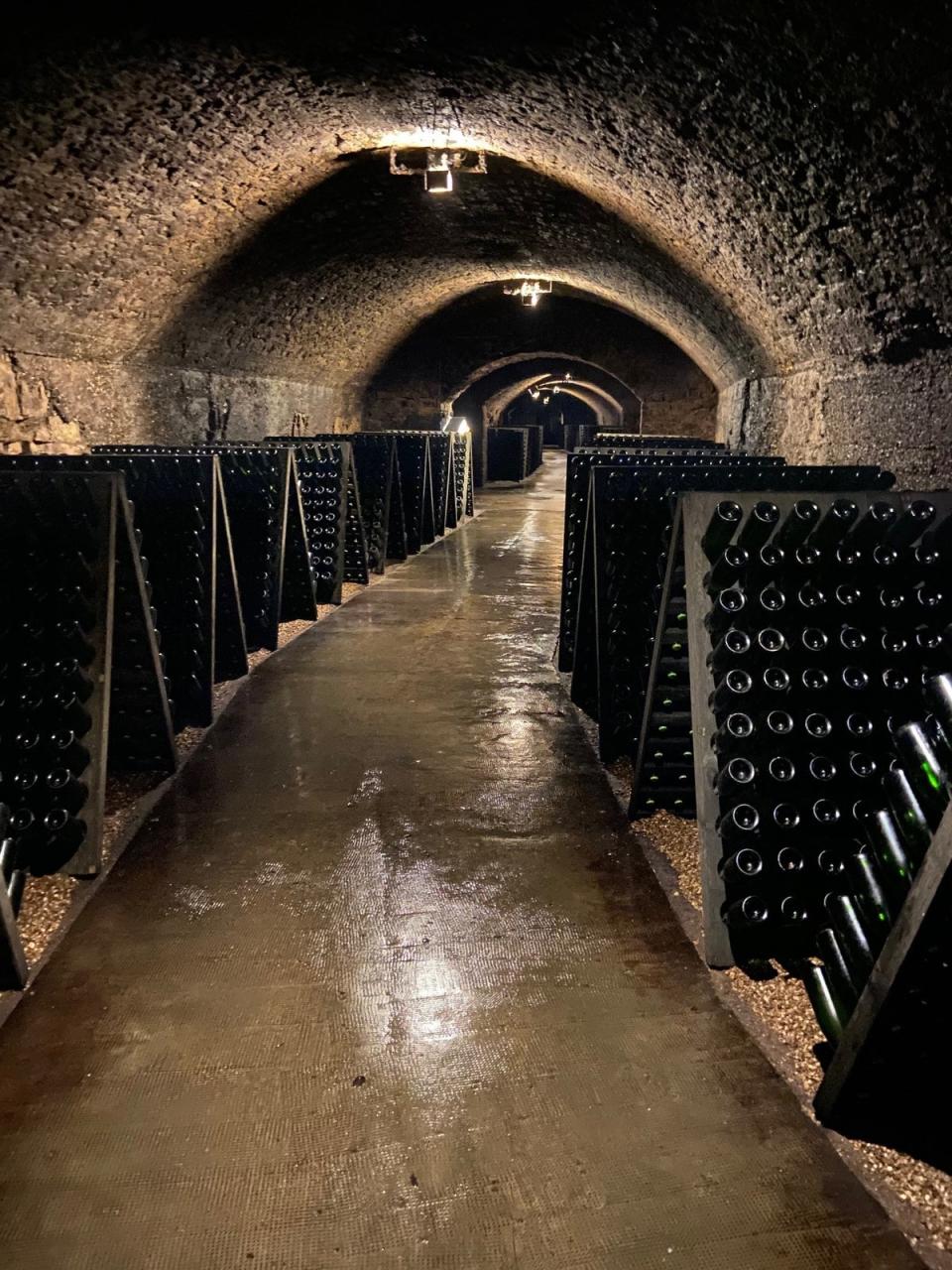 Caves St Martin’s kilometre’s worth of tunnels keep its wines at a constant 12 C (Matt Hryciw)