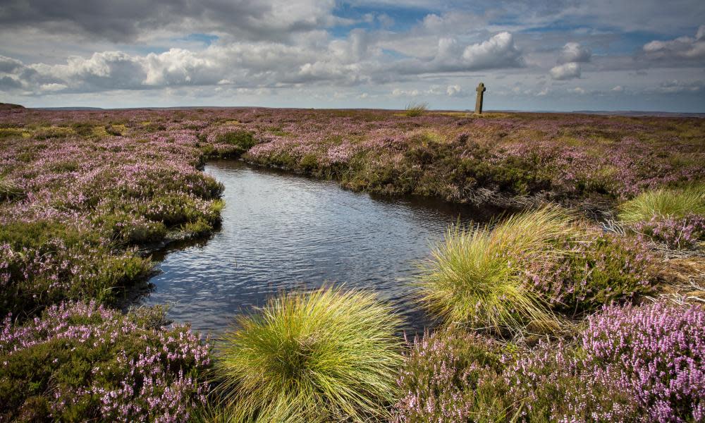 <span>Photograph: Mike Kipling Photography/Alamy</span>