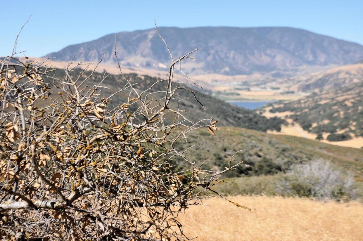 tejon ranch 2