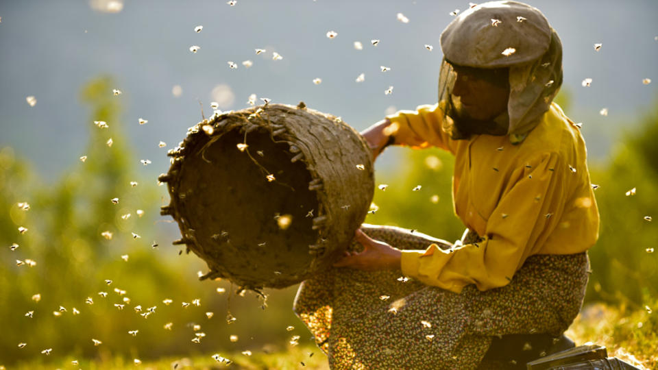 Honeyland (2019)