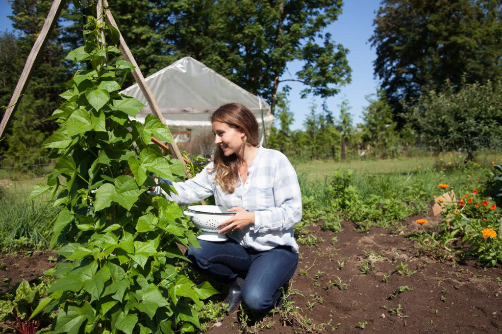 A woman picks vegetables from her garden. 