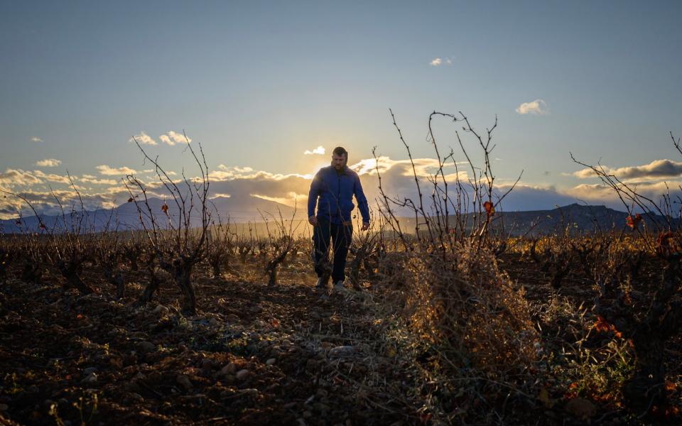 Farmer Marc Chabanol walks across his fields near Perpignan in the Pyrenees-Orientales region. France's southernmost department has been alarmingly dry for almost two years in a row