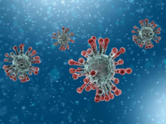 The coronavirus' crown-like spikes give the virus family its name (Getty Images/iStockphoto)