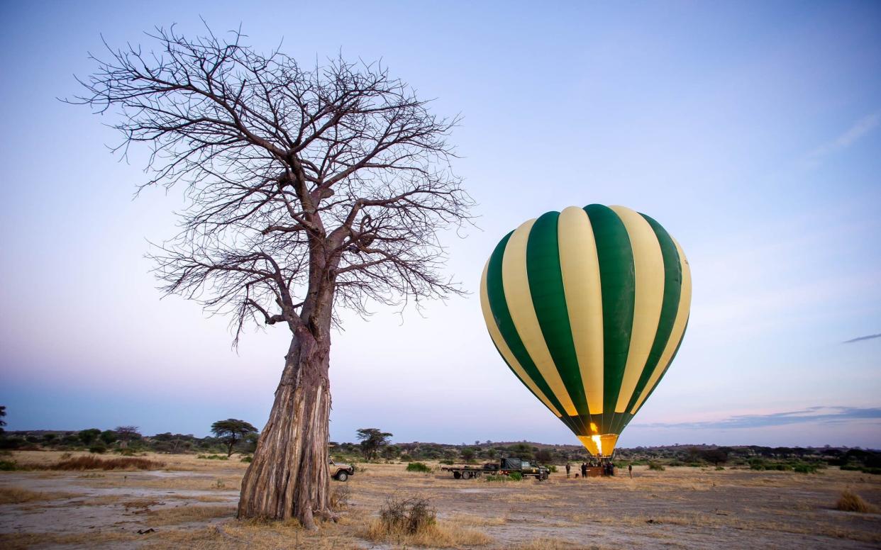 Bird's eye view: Take in wildlife from a different perspective