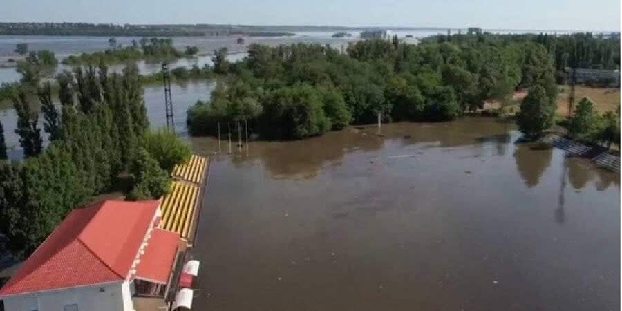 Ecologist reveals damaging consequences of Kakhovka dam’s destruction