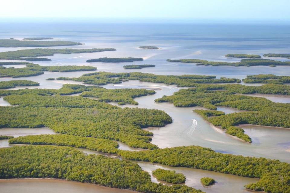 Ten Thousand Islands National Wildlife Refuge | courtesy of Naples, Marco Island, Everglades CVB