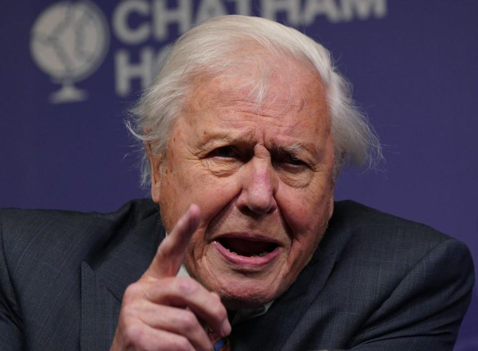 Sir David Attenborough has said political leaders must act on the climate crisis (Yui Mok/) (PA Wire)