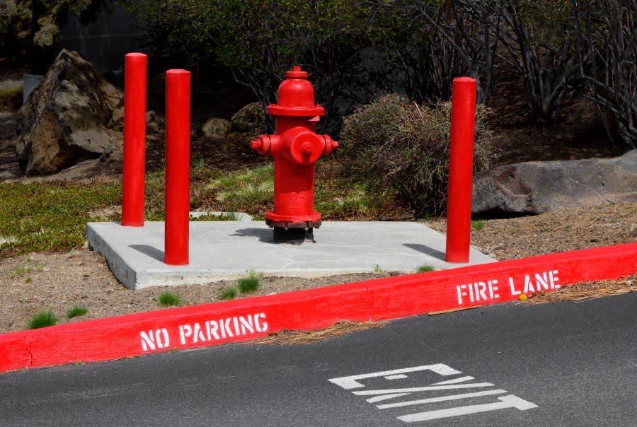Most curbside fire hydrants have no parking signs in front of them. (Getty)